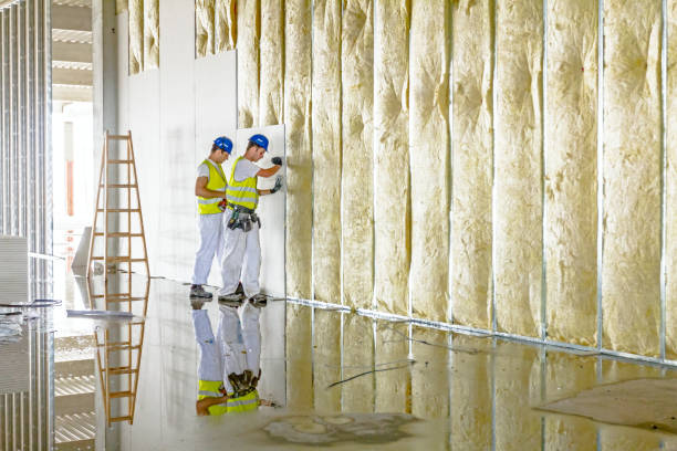 Best Attic Insulation Installation  in Schriever, LA